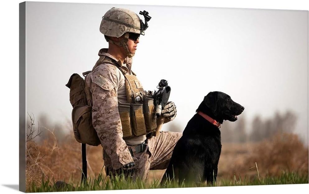 GREATBIGCANVAS U.S. Marine Holds Security in a Field with his IED Detection Dog Canvas Wall Art Print, 36"x22".