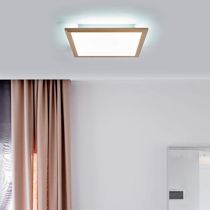 Modern Led Panel Corinna Dimmable With Remote Control 2 Light