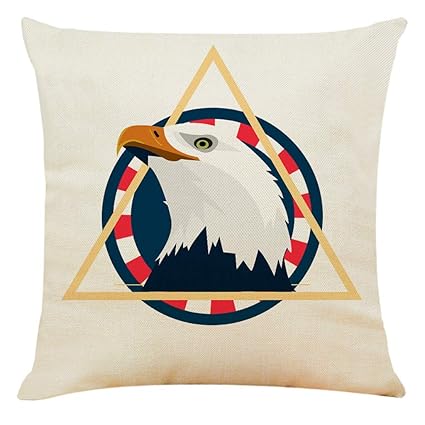 Amazon Com Carood National Emblem Graffiti Pattern Home Cushion