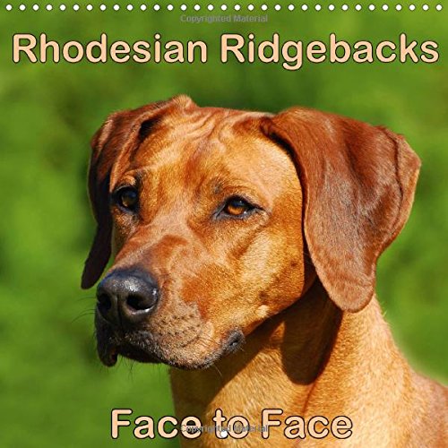 famous rhodesian ridgebacks