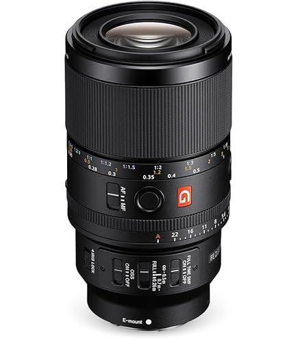Sony SEL90M28G FE 90mm f/2.8-22 Macro G OSS Standard-Prime Lens