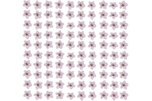 YUNZHI 100pcs/pack Dried Flower for Resin Small Plum Blossom Narcissus, Dry Flower, Real Flower, Nail Flower Material, Glue Drop, Mobile Phone case, Hand Made (Light Purple)