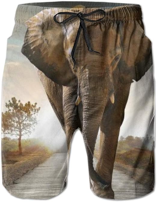 Men's Swim Trunks African Art Elephant Walking in The Road