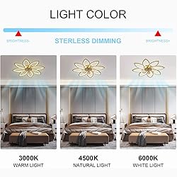 SPEVCH 35" Ceiling Fans with Lights, Modern Ceiling