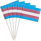 stidsds 100 Pcs Pride Rainbow Flag Transgender Toothpick Flags Mini Small Gay LGBTQ Cupcake Toppers Stick Flags Banner Rainbow Party Cocktail Fruit Decoration