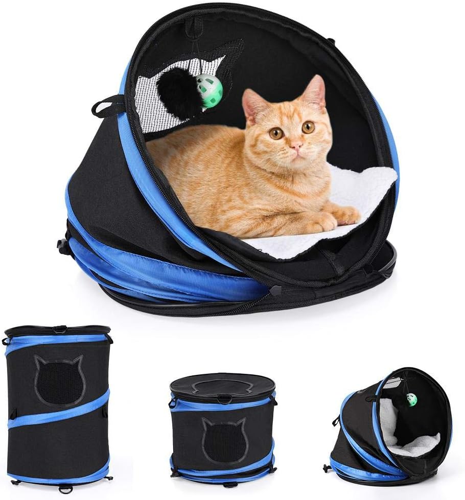 3 cat carrier