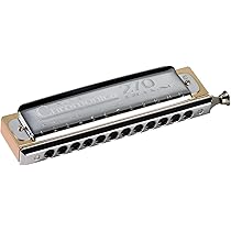 Amazon.com: Hohner Chromonica M754001 Deluxe : Musical
