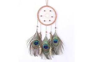 Tellpet Dream Catchers Hanging Decoration wall Decor Dreamcatcher for Girls Gifts, Peacock Feather