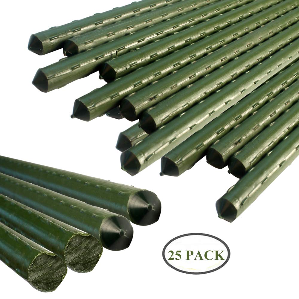 Best Building Cages And Trellises For Gardening