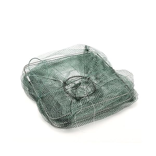 Cage-shrimp-fishing-netsbait-traps-nylon-mesh-ring-alloy-framefishing-tools-by-buytra