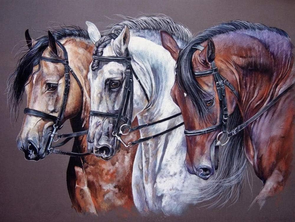 JinWensm DIY Painting by Numbers Kits Three horses Paint By Numbers For Adults and Kids with Brushes and Acrylic 16 * 20 inches Home Decoration Without Frame