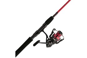 PENN Fierce IV Spinning Reel and Fishing Rod Combo