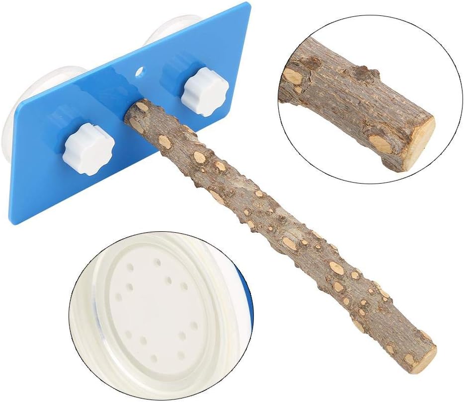 Window and Bath Bird Shower Perches, Strong Suction Cup, Natural Fagara Wood Stand Toy for Macaw African Greys, Budgies - Image 4