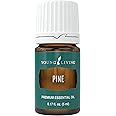 Young Living Pine Essential Oil, 5ml - Uplifting Aroma - Refreshing Breathing Experience - Repels The Influence of Negative Energy - Aromatherapy Diffusers