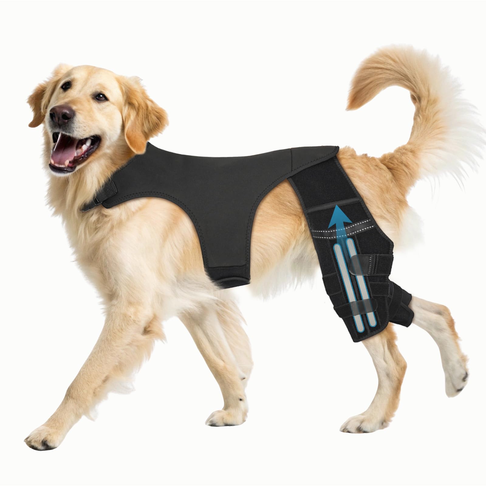 Photo 1 of Pawfun Dog Knee Brace for Hind Leg – Adjustable Dog Rear Leg Support Brace with 4 Metal Stabilizers, Helps with Torn CCL, Luxating Patella, Ligament Injuries, Hip Dysplasia,XL