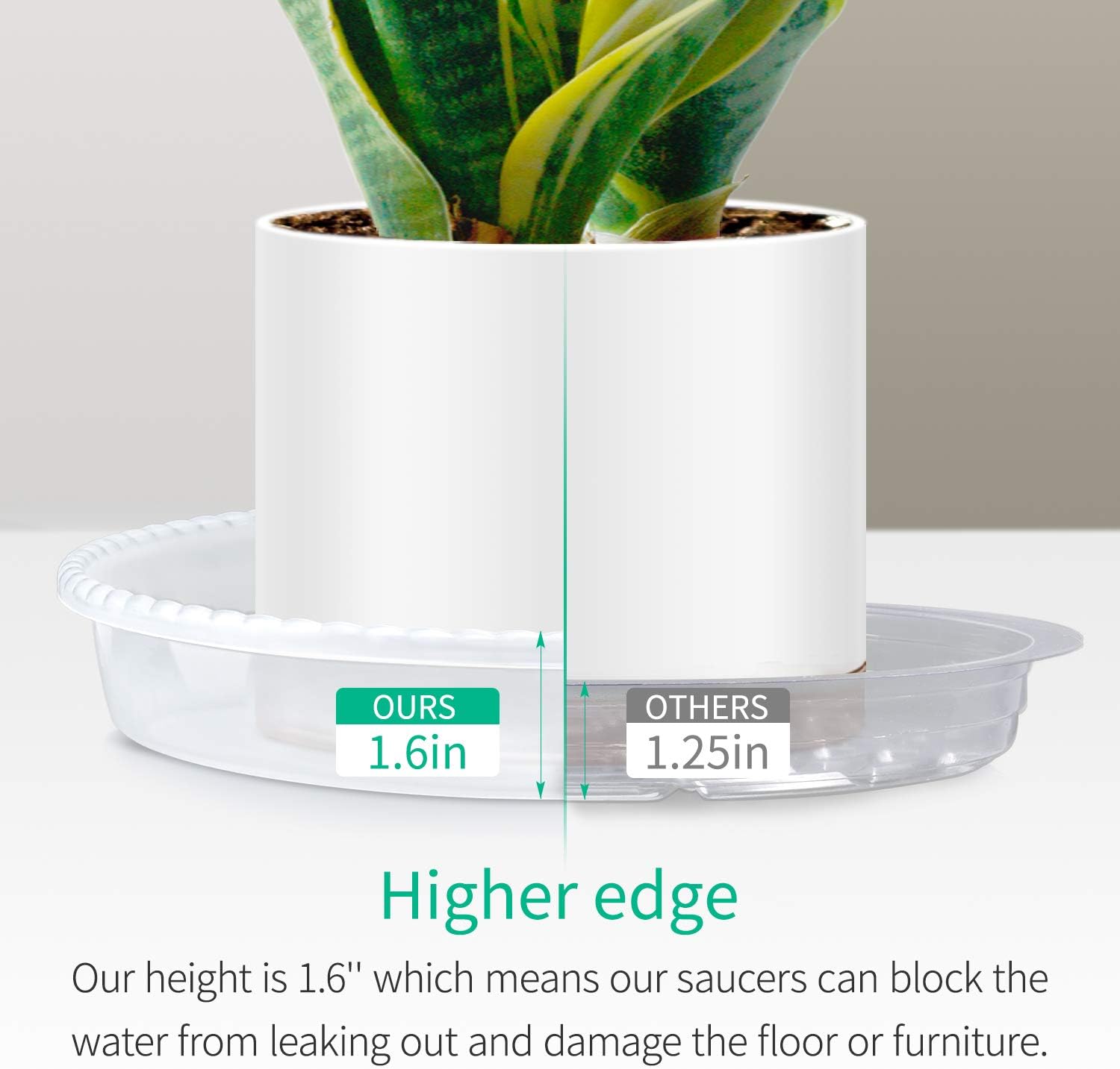 EFFECTEER Plant Saucer, 5 Pack, 12 inch, Round Plant Trays for Indoors, Clear Plastic Plant Pot Saucers, Durable Flower Pots with 5 Plant Labels (12'' - 5 Pack) : Garden & Outdoor