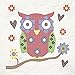 Fairway 95114 Owl Stamped Quilt Blocks (6 Pack), 18