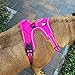Chai's Choice Dog Harness Vest Medium (Fuchsia) | Comfortable & Secure with Adjustable Strap Soft Padded Dog Vest | No-Choke & Easy Control Pet Oxford | 3M Reflective Stripes for Dog Visibility