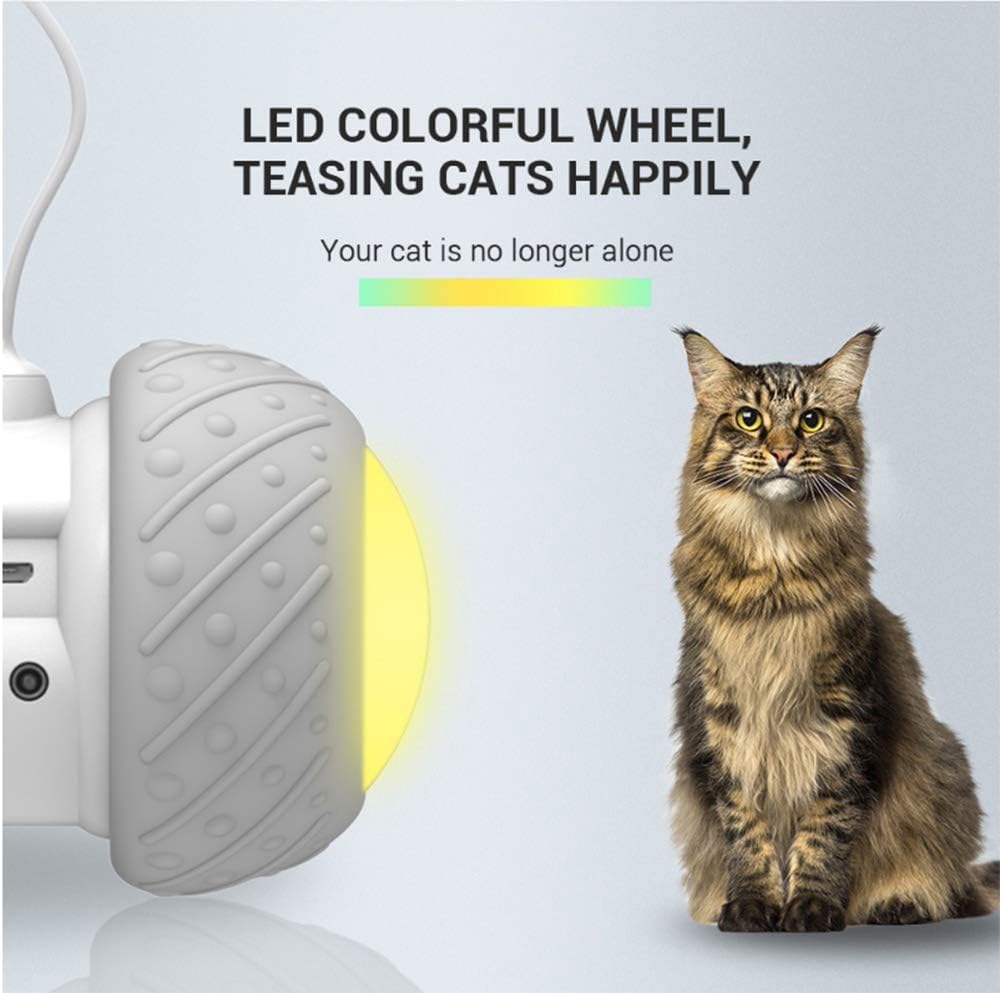 Interactive Robotic Cat Toys, Automatic Irregular USB Charging 360 Degree Self Rotating Ball, Automatic Feathers/Birds/Mouse Toys for Cats/Kitten, Build-in Spinning Led Light，Large Capacity Battery : Kitchen & Dining
