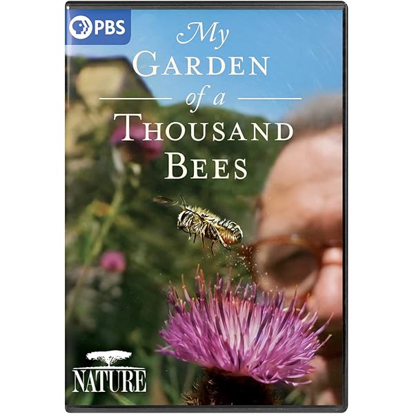 Amazon.com: Nature: Silence of the Bees : Narrated By F. Murray