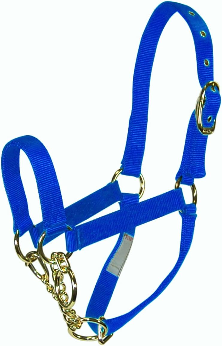 Hamilton Cow Control Nylon Halter with Chain Halters Equestrian Sports
