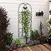 Amagabeli 12 Pack Garden Trellis for Climbing Plants 60