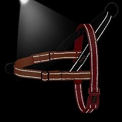 Didog No Pull Dog Harness with Soft Padded
