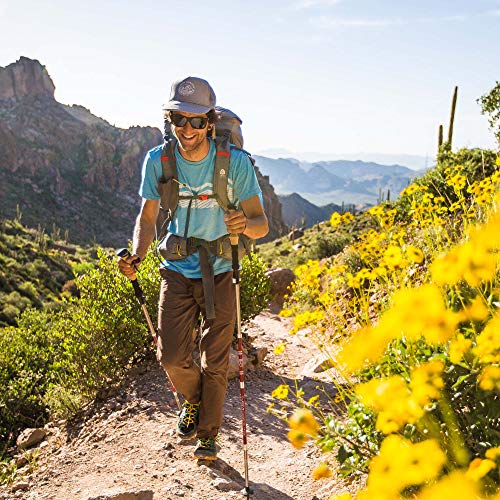 Paria Outdoor Products Tri-Fold Carbon Cork Trekking Poles/Sticks - Folding, Collapsible, Adjustable, and Ultralight - Perfect for Hiking, Walking, Backpacking and Snowshoeing (100-120 cm)