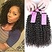 Original Queen 100% Brazilian Unprocessed Virgin Kinky Curly Human Hair Weave 3 Bundles Deep Curly Hair Extensions Mixed Length (10 12 14 Inch)