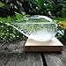 Storm Glass Weather Predictor glass Barometer Forecaster Creative Crystal Decorative Bottles Desktop Drops Forecast bottle Home and Office Birthday Christmas Gifts