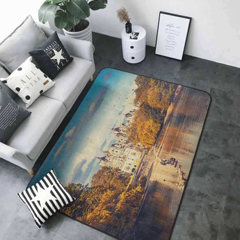 Anti-Slip Outdoor Rugs London,Picturesque ST James Park in UK Baroque Architecture Heritage Medieval Landscape, Multicolor 36"x 60" Camping Rugs for Outside