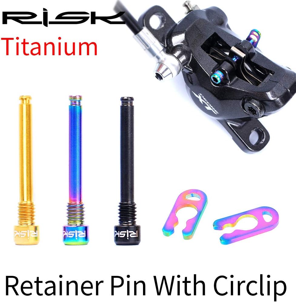 BIKERISK Titanium Bolts for Bicycle Disc Brake Pad M4 Hex Socket Head Titanium Threaded Pin Inserts Screw for Hydraulic Disk Caliper 2 PCS