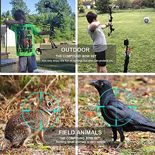 Archery Compound Bow and Arrow for Beginner and Youth，Bowfishing and Hunting Bow Set, 260 fps，19