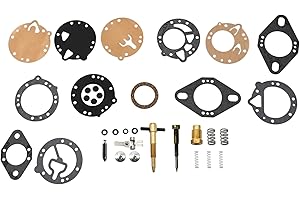 ZUDKSUY Carburetor Repair Rebuild Kit Includes Metering Needle Replacement for Tillotson HR Carburetors w/07406 N/S Replaces 