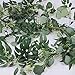Supla Faux Eucalyptus Leave Garland and Willow Vines Twigs Leaves Garland String for Wedding Arch Swag Backdrop Doorways Table Runner Jungle Holiday Greenery Garland Decor 2 Pack Separate 5.9' L/Pcs