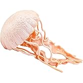 Safari Ltd. Jellyfish Toy - 5 Inch Realistic Sea Life Figure for Kids | 5 Inches Long, Ages 3+, Safety Tested, BPA Free PVC, Ocean Play, Classroom Marine Study, Water Play