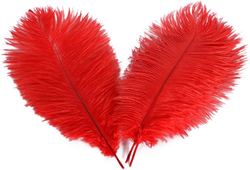 Wionya 20pcs Ostrich Feather Craft 10-12inch(25-30) Plume for Wedding Centerpieces Home Decoration