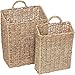 Trademark Innovations Hanging Wall Mounted Baskets - Set of 2 (Large)