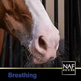 NAF Kof-Eze 500ml Soothing Respiratory Syrup for Horses – Herbal Support view 4