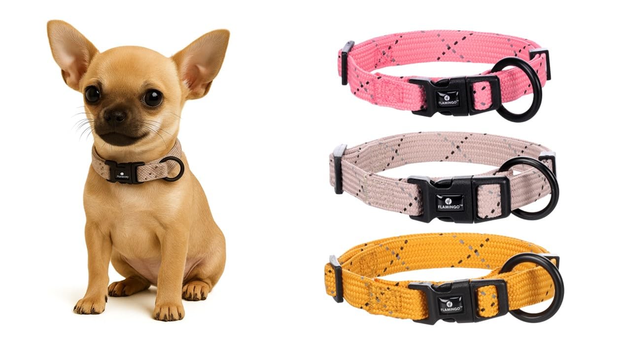 Flamingo Dog Collar Puppy Dolly Taupe XXS 15-25cm 10mm