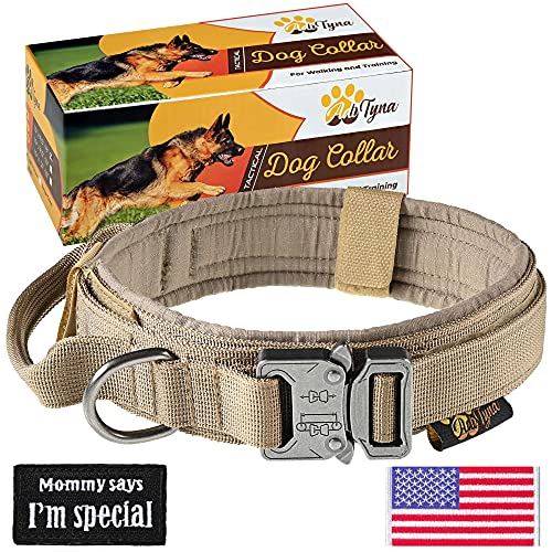 medium dog collar