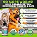 8 in 1 Dewormer for Dogs & Cats - Kills & Prevent Tapeworms - Roundworms - Hookworms - Whipworms - Natural Broad-Spectrum Formula - Senior Pets Puppy, Kitten - Supports Any Breed - Made in USA