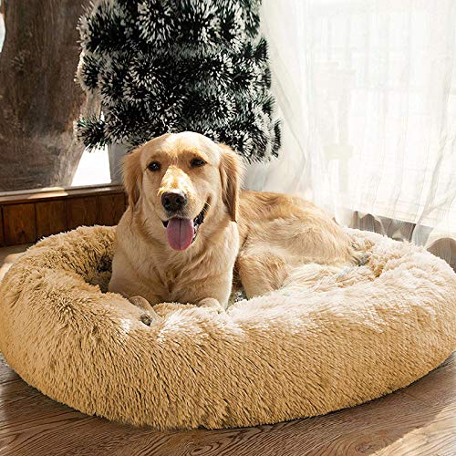 heavenly sac dog bed