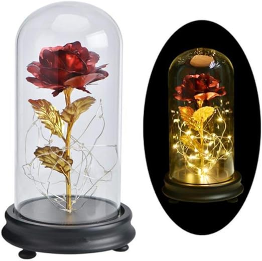 Amazon Com Beauty And The Beast Enchanted Rose 24k Gold Foil Forever Rose Lights Flowers In Glass Dome Valentines Day Decorations For Wife Wedding Home Kitchen Amazon Com Beauty And The Beast Enchanted Rose 24k Gold Foil Forever Rose Lights Flowers In Glass Dome Valentines Day Decorations For Wife Wedding Home Kitchen
