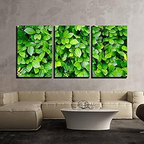 3 Piece Canvas Wall Art - Leaves Background - Modern Home Art Stretched and Framed Ready to Hang - 16"x24"x3 Panels