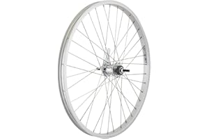 WHEELMASTER Wheel Master 24" Cruiser/Comfort Rear Wheel - Weinmann AS7X Rim, 36H, Coaster Hub, Silver