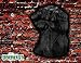 Uberfist Hockey Glove - Chicago | Beer Fist, Beer, Beverage Holder, Bottle, Can, Cup, Drinking Fist, Foam Beer Fist, Gift