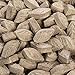 Sencha Naturals Green Tea Mints Refill Bag, Cardamom Cinnamon, 6.35 oz (Pack of 1)