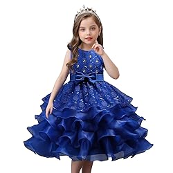 DreamHigh Wedding Flower Girl's Ruffles Lace Cute