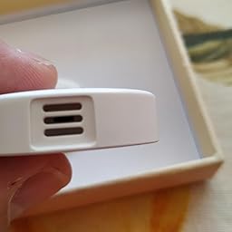 Inkbird IBS-TH1 Plus Bluetooth Registrador de Temperatura y ...